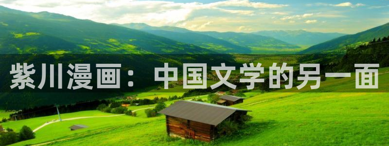 天堂漫画网址：紫川漫画：中国文学的另一面