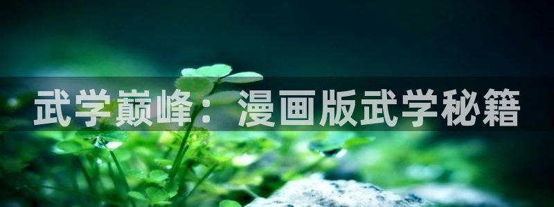 禁漫画天堂漫画网站：武学巅峰：漫画版武学秘籍